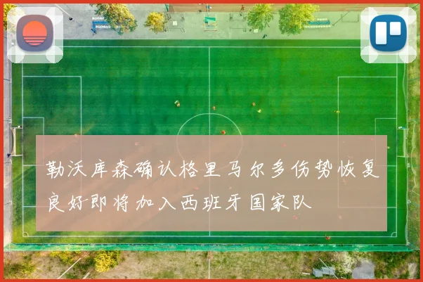 勒沃库森确认格里马尔多伤势恢复良好即将加入西班牙国家队