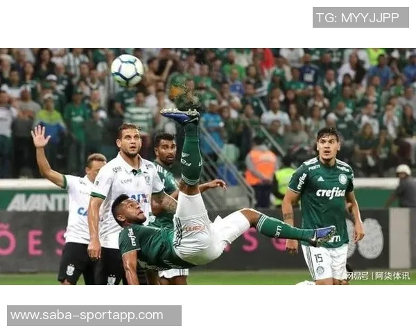 德比战前最后一练弗里克库巴西伯纳尔齐聚训练场备战